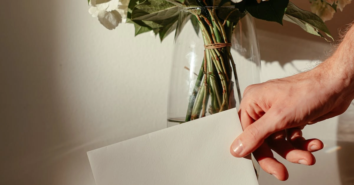 Бездепозитные бонусы казино - щедрые предложения без вложений